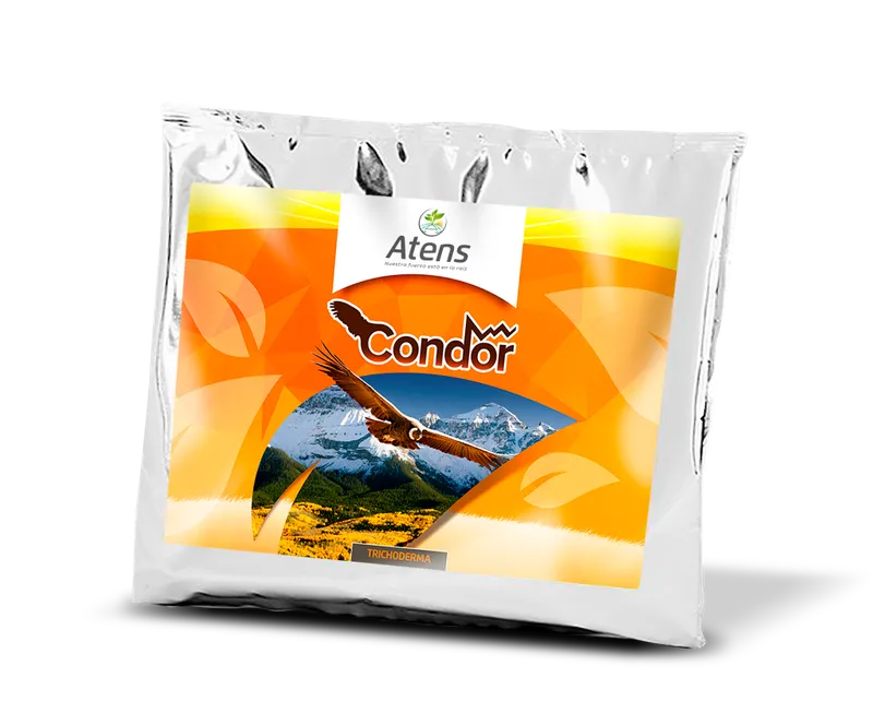 Imagen oficial de Condor Shield