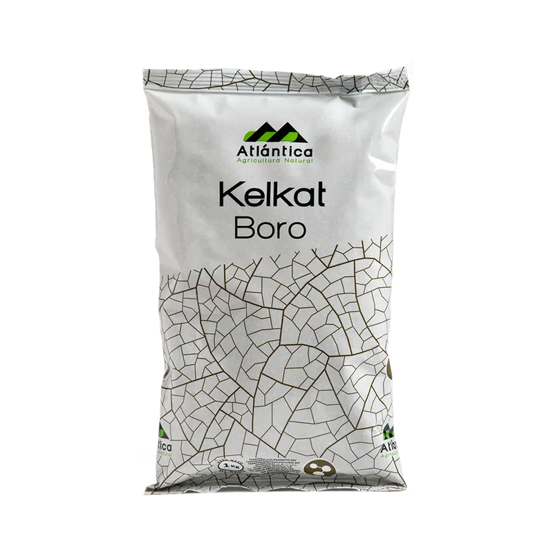 Imagen oficial de Kelkat Boro