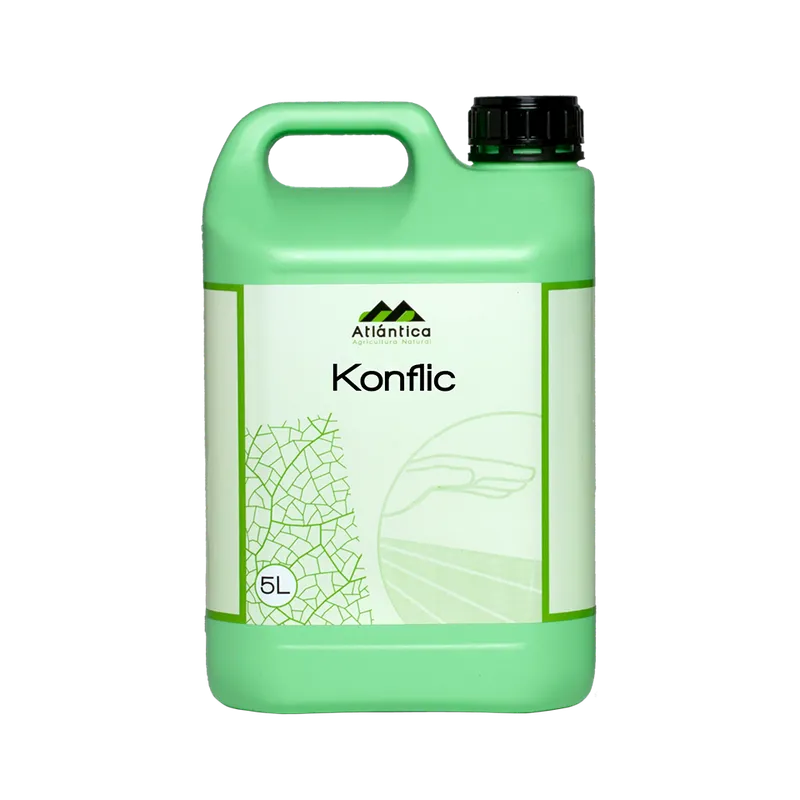 Imagen oficial de Konflic