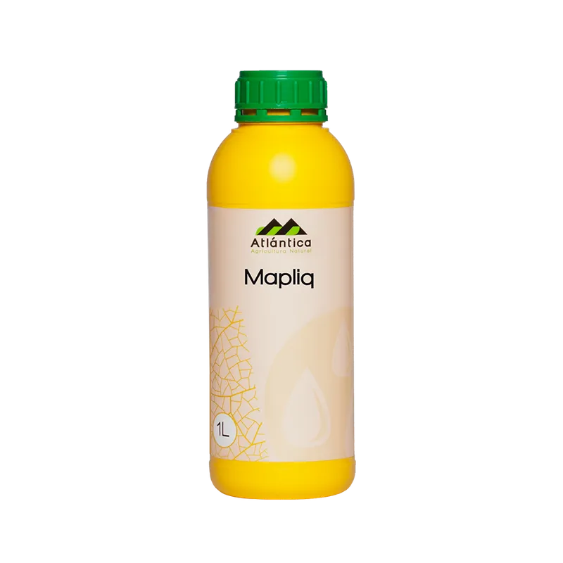 Imagen oficial de Mapliq