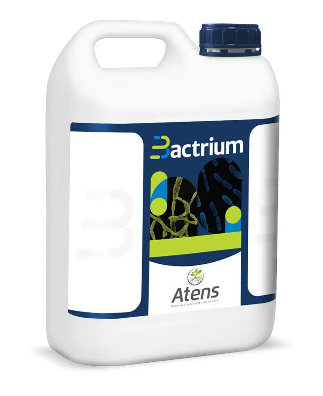 Imagen oficial de Bactrium