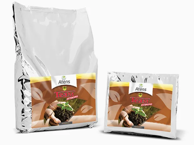 Imagen oficial de Asir Fruit