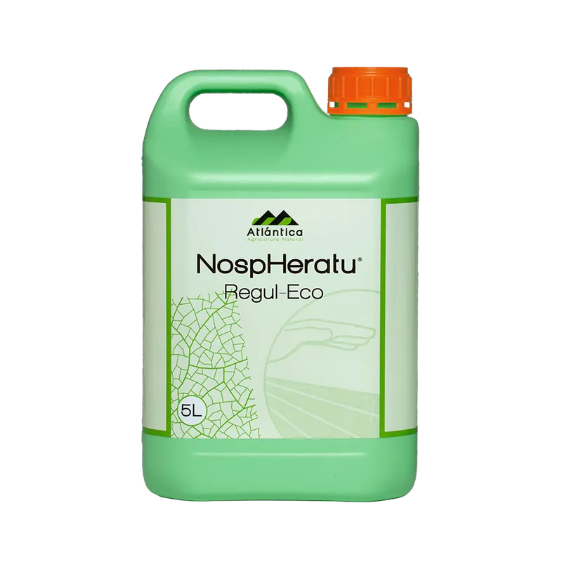 Imagen oficial de NospHeratu Regul – Eco