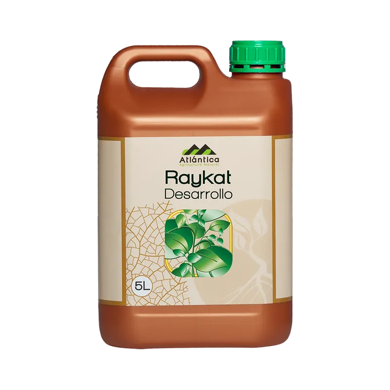 Imagen oficial de Raykat Desarrollo