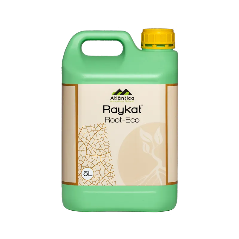 Imagen oficial de Raykat Root Eco