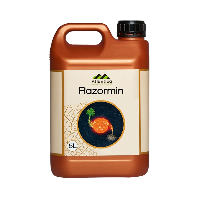 Imagen oficial de Razormin