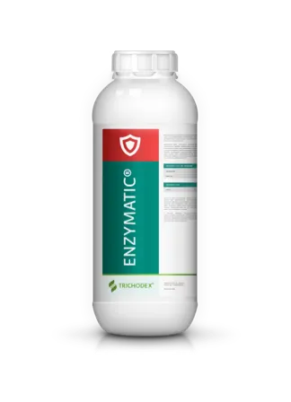 Imagen oficial de ENZIMATIC®
