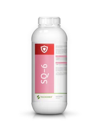 Imagen oficial de SQ-6®