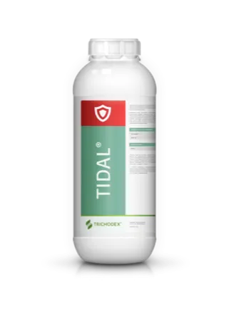 Imagen oficial de TIDAL®