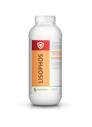 Imagen oficial de LISOPHOS®