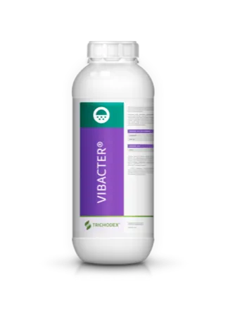 Imagen oficial de VIBACTER®