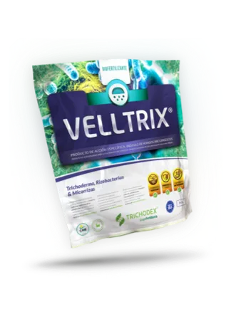 Imagen oficial de VELLTRIX®