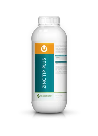 Imagen oficial de ZINC TIP® PLUS