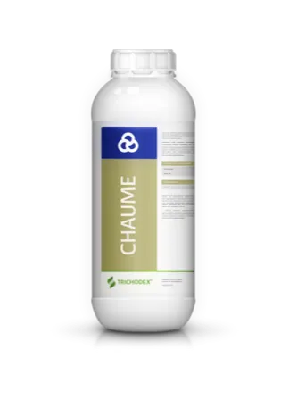 Imagen oficial de CHAUME®