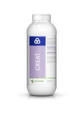 Imagen oficial de GREAT®