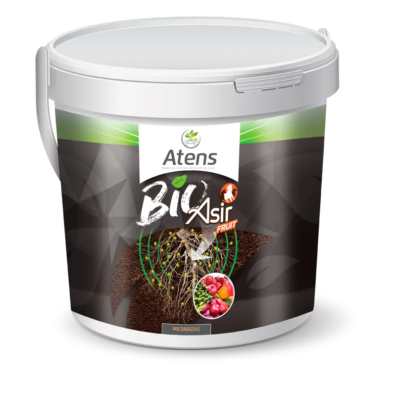 Imagen oficial de Asir Fruit Bio
