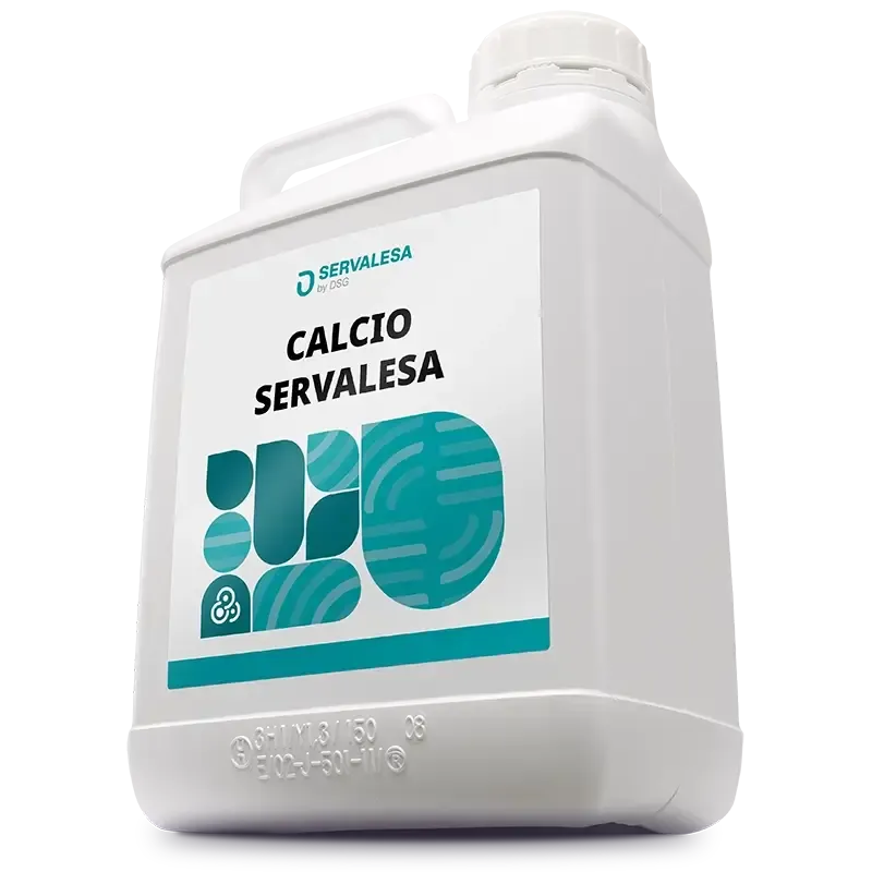 Imagen oficial de CALCIO SERVALESA