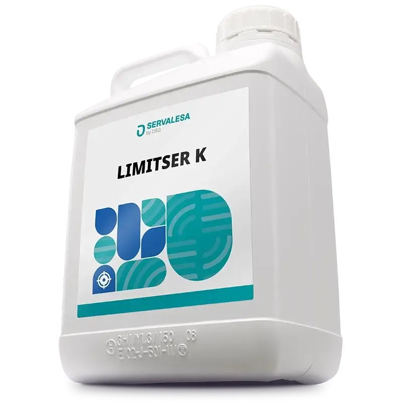 Imagen oficial de LIMITSER K