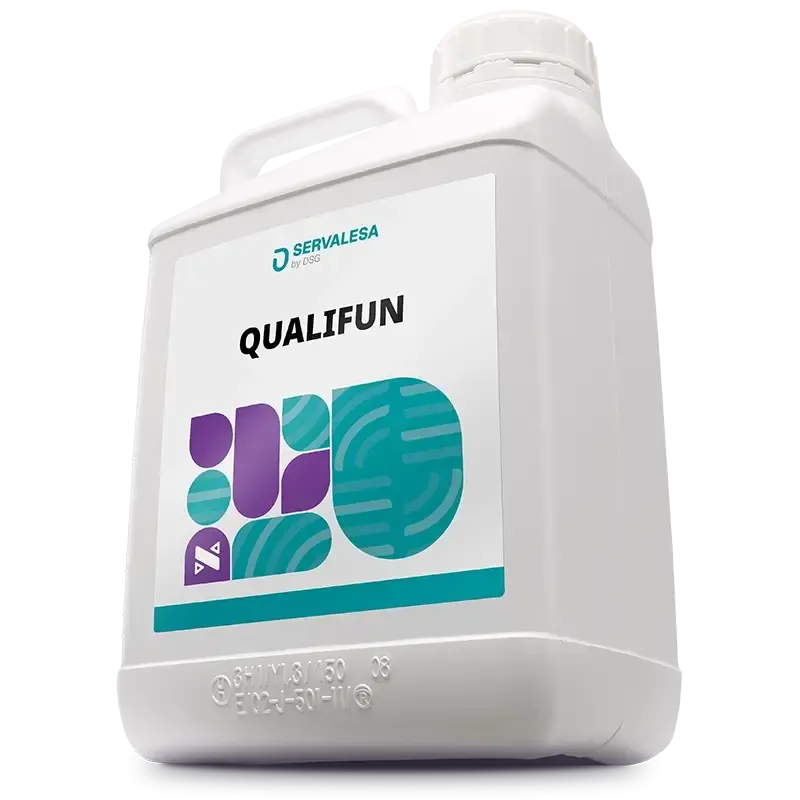 Imagen oficial de QUALIFUN