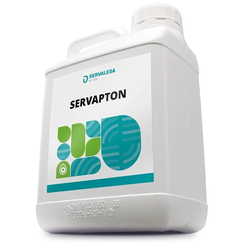 Imagen oficial de SERVAPTON