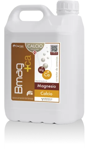 Imagen oficial de BMAG +CA