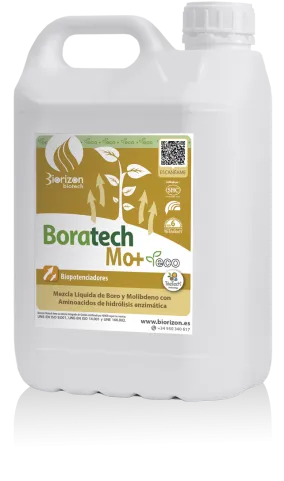 Imagen oficial de Boratech Mo + eco