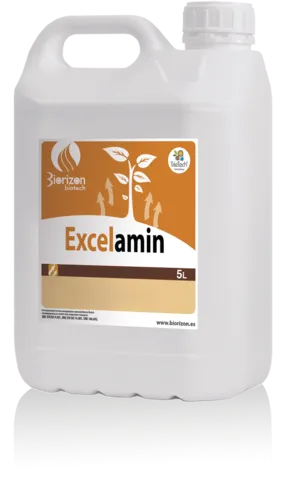 Imagen oficial de Excelamin
