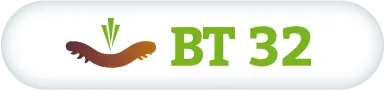 Imagen oficial de BT 32 Seipasa
