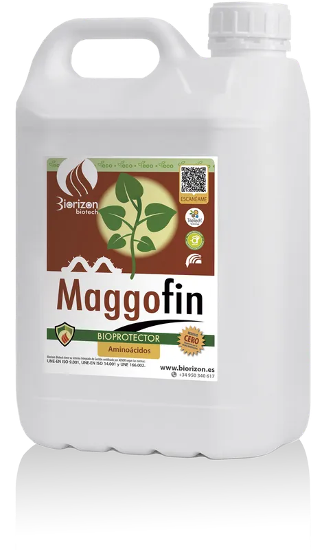 Imagen oficial de MAGGOFIN