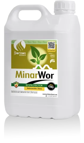 Imagen oficial de MinarWor