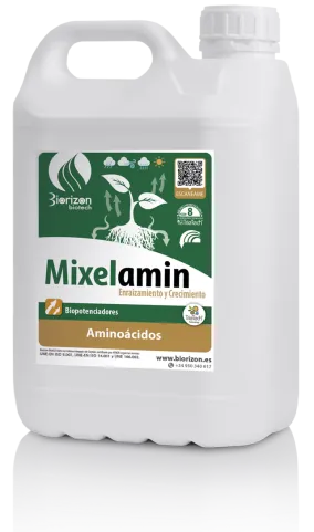 Imagen oficial de MIXELAMIN