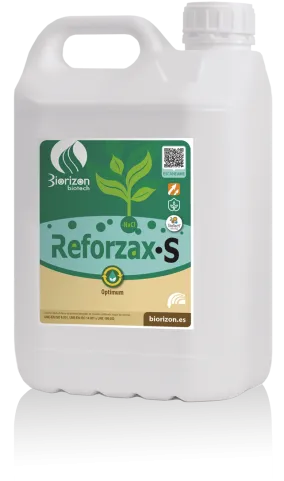 Imagen oficial de REFORZAX - S