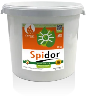 Imagen oficial de SPIDOR