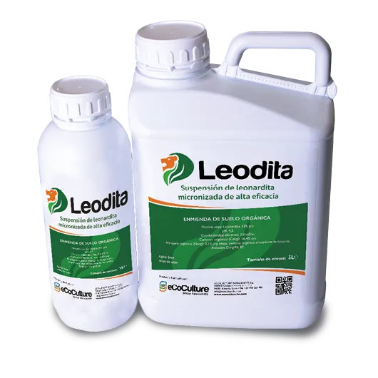 Imagen oficial de Leodita