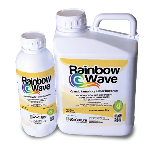 Imagen oficial de Rainbow Wave