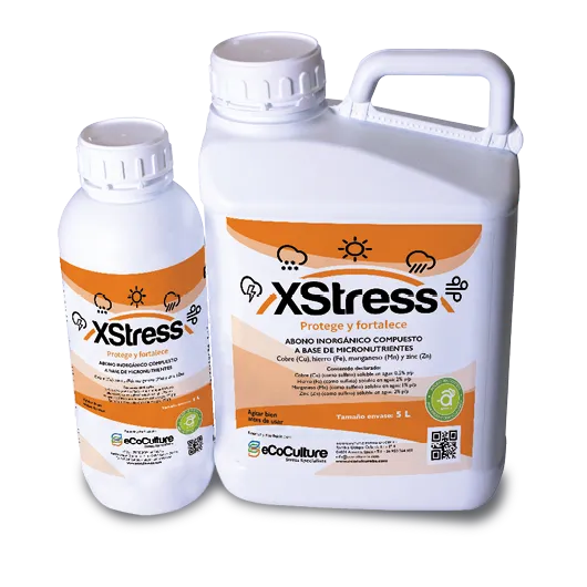 Imagen oficial de XStress