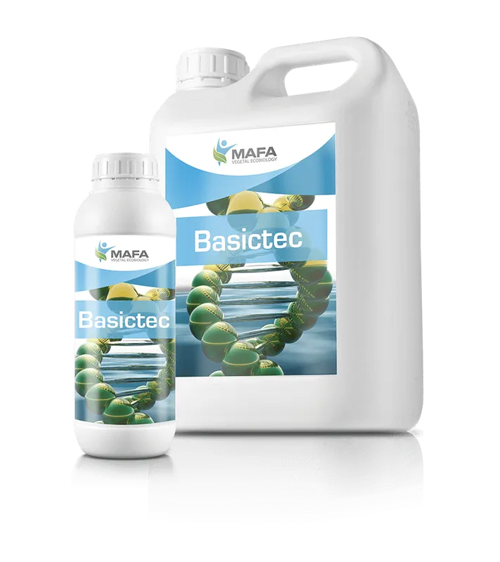 Imagen oficial de BASICTEC