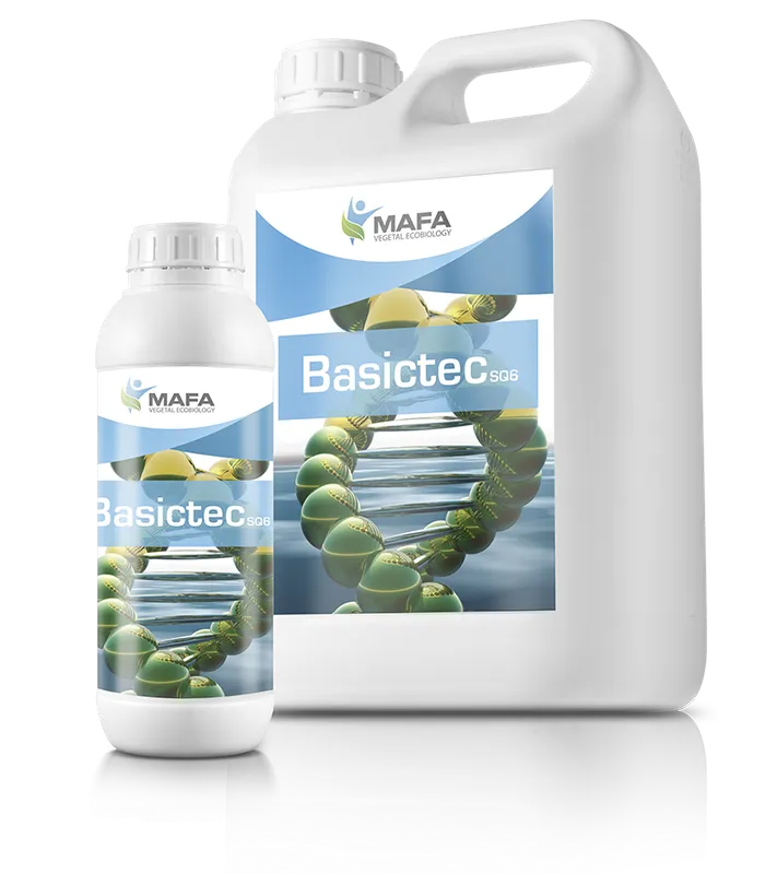 Imagen oficial de BASICTEC SQ6