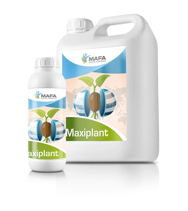 Imagen oficial de MAXIPLANT