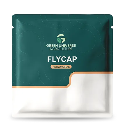 Imagen oficial de FlyCap
