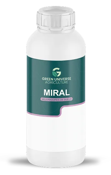 Imagen oficial de Miral