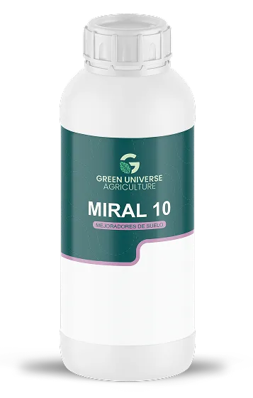 Imagen oficial de Miral 10