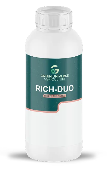Imagen oficial de Rich-Duo