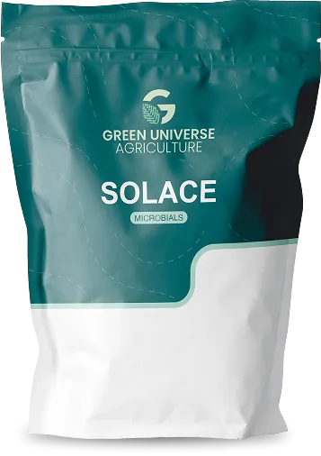 Imagen oficial de Solace
