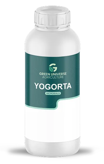 Imagen oficial de Yogorta