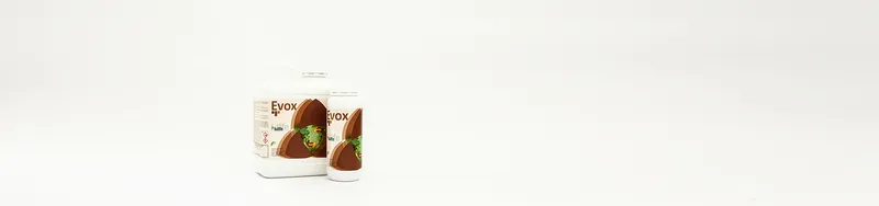 Imagen oficial de Evox