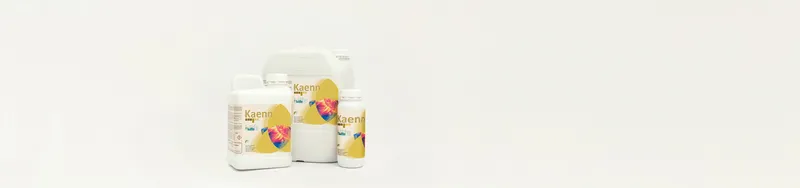 Imagen oficial de Kaenn