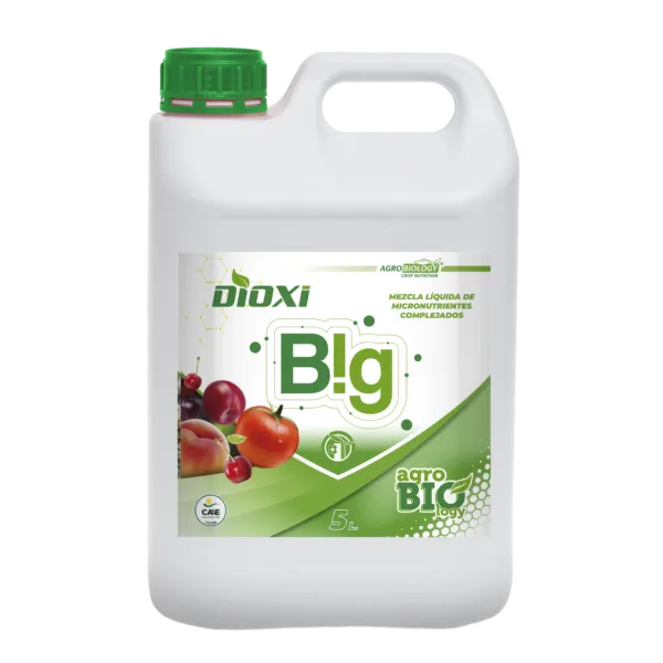 Imagen oficial de Dioxi BIG