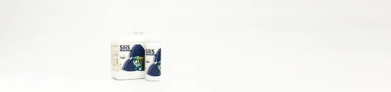 Imagen oficial de Silis