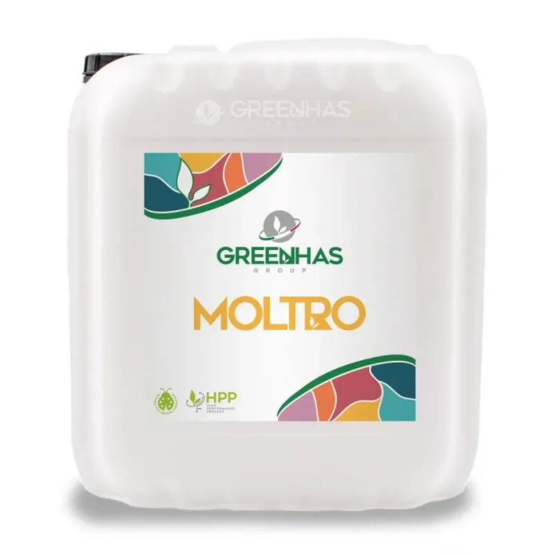 Imagen oficial de MOLTRO
